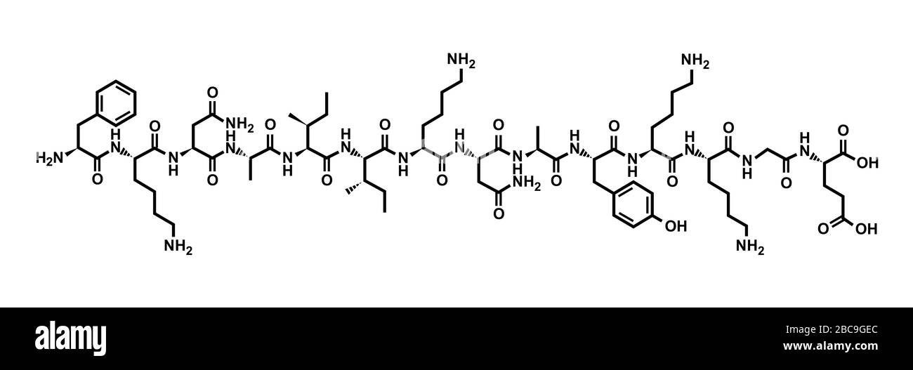 β-endorphin β-endorphin