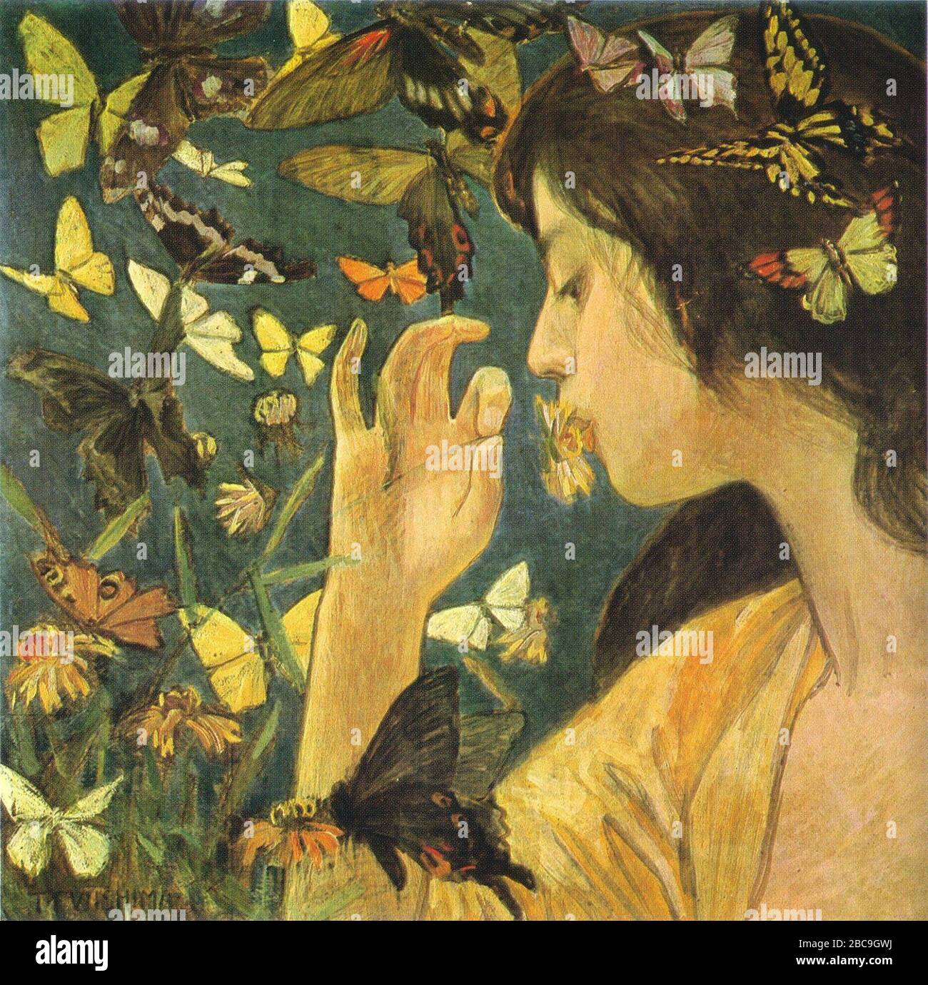 English Butterflies By Fujishima Takeji Private Collection 日本語 蝶 藤島武二筆 1904date Qs P571 1904 00 00t00 00 00z 9 Stock Photo Alamy