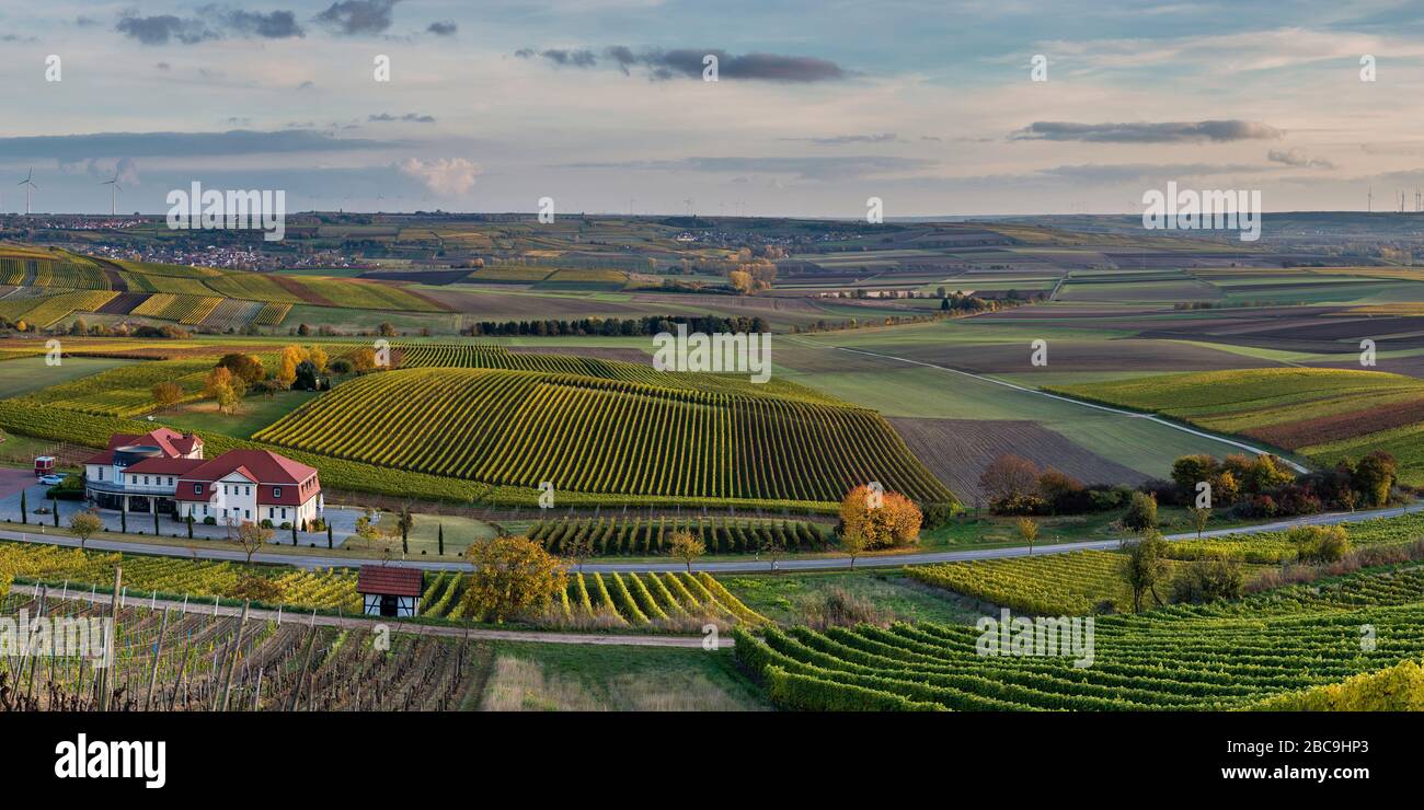 Golden October in Rheinhessen, hilly landscape near Vendersheim, high- Stock Photo