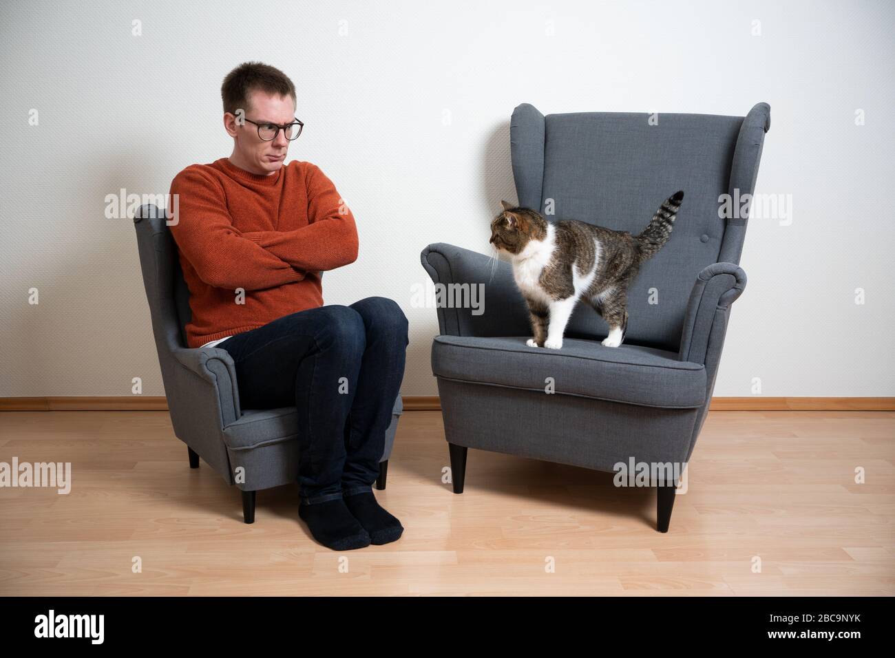 pet armchair