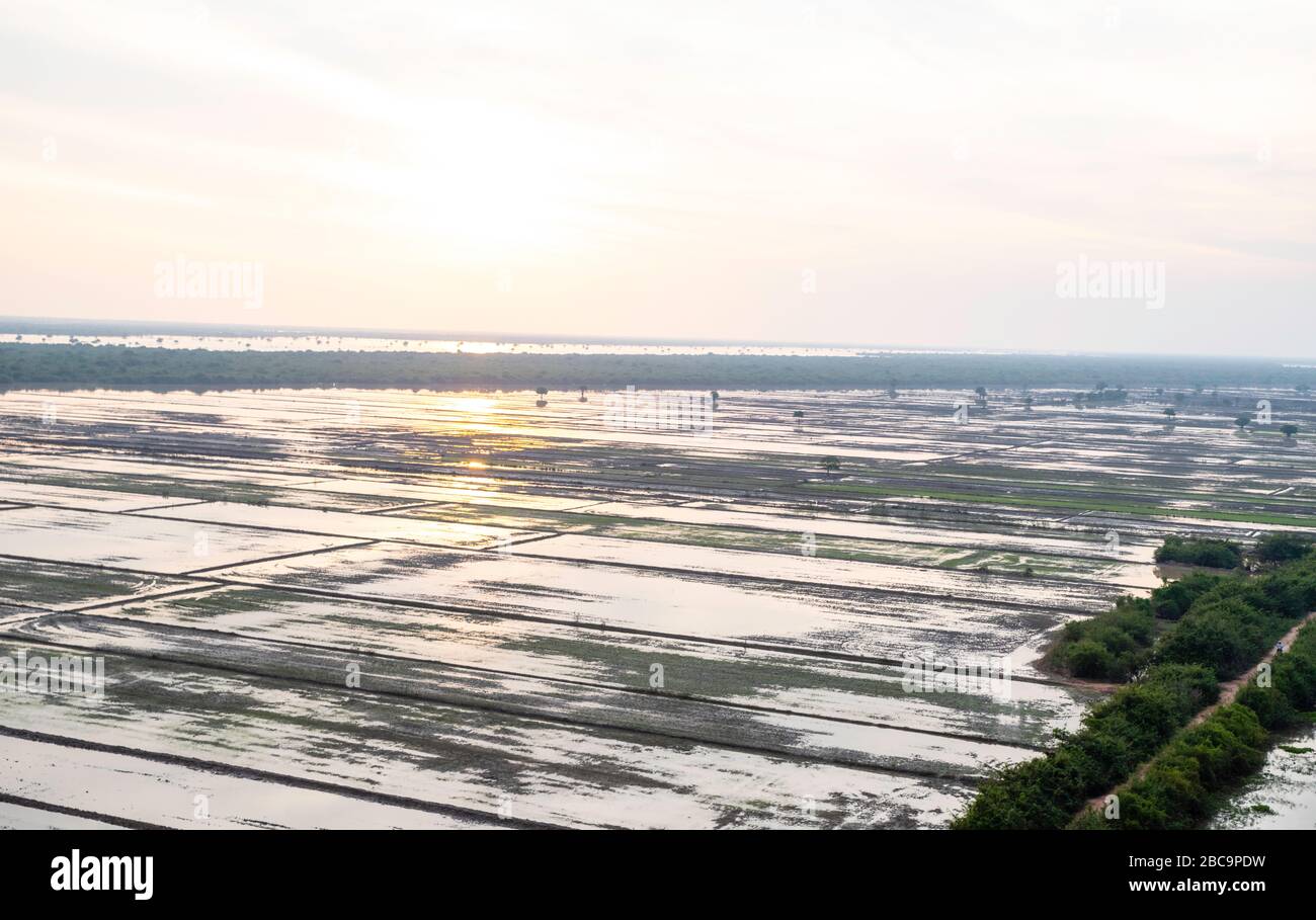 Aerial view of rice paddies and Tonle Sap, south of Siem Reap, Cambodia ...