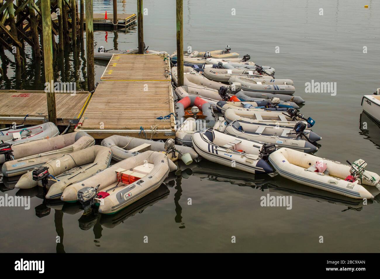 Boats galore at Frisbee Wharf, York Maine. Located in Pepperell Cove, a