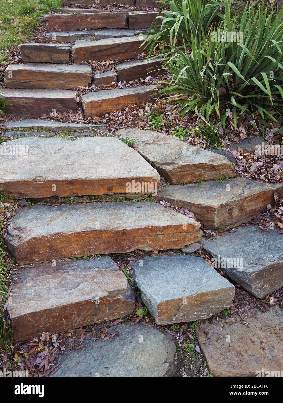 Large rock pieces curve gently up a hill through a messy garden in the winter. Stock Photo