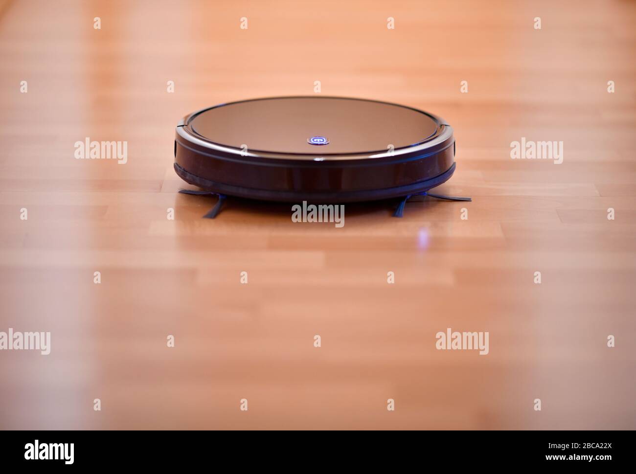 Robot vacuum cleaner on parquet floor, Baden-Württemberg, Germany Stock Photo