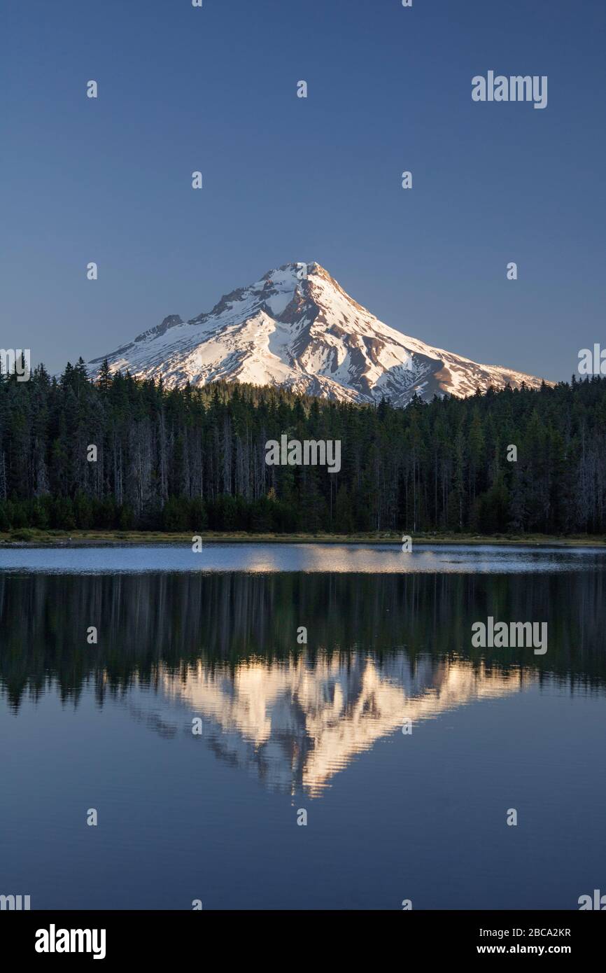 Mount Hood from Frog Lake, Oregon USA Stock Photo Alamy