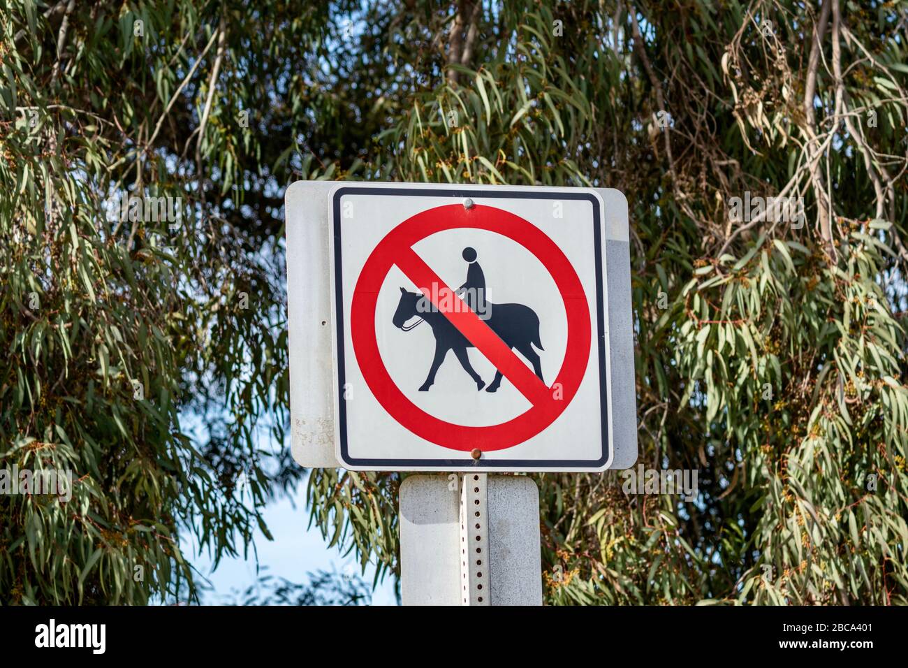 No Horseback Riding sign outdoors Stock Photo