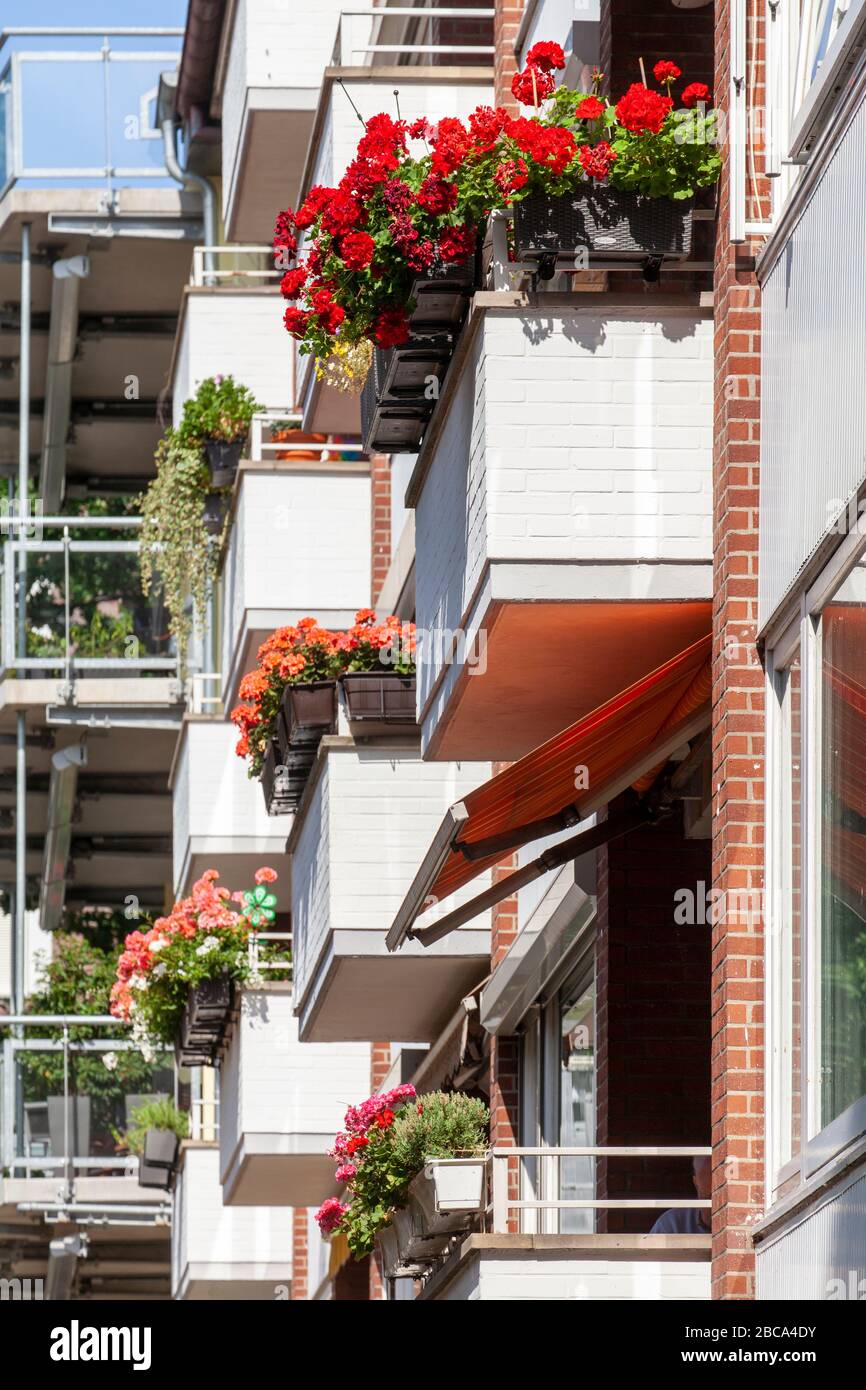 Balconies with flower boxes, row of houses, row houses, residential buildings, Contrescarpe, Bremen, Germany, Europe Stock Photo