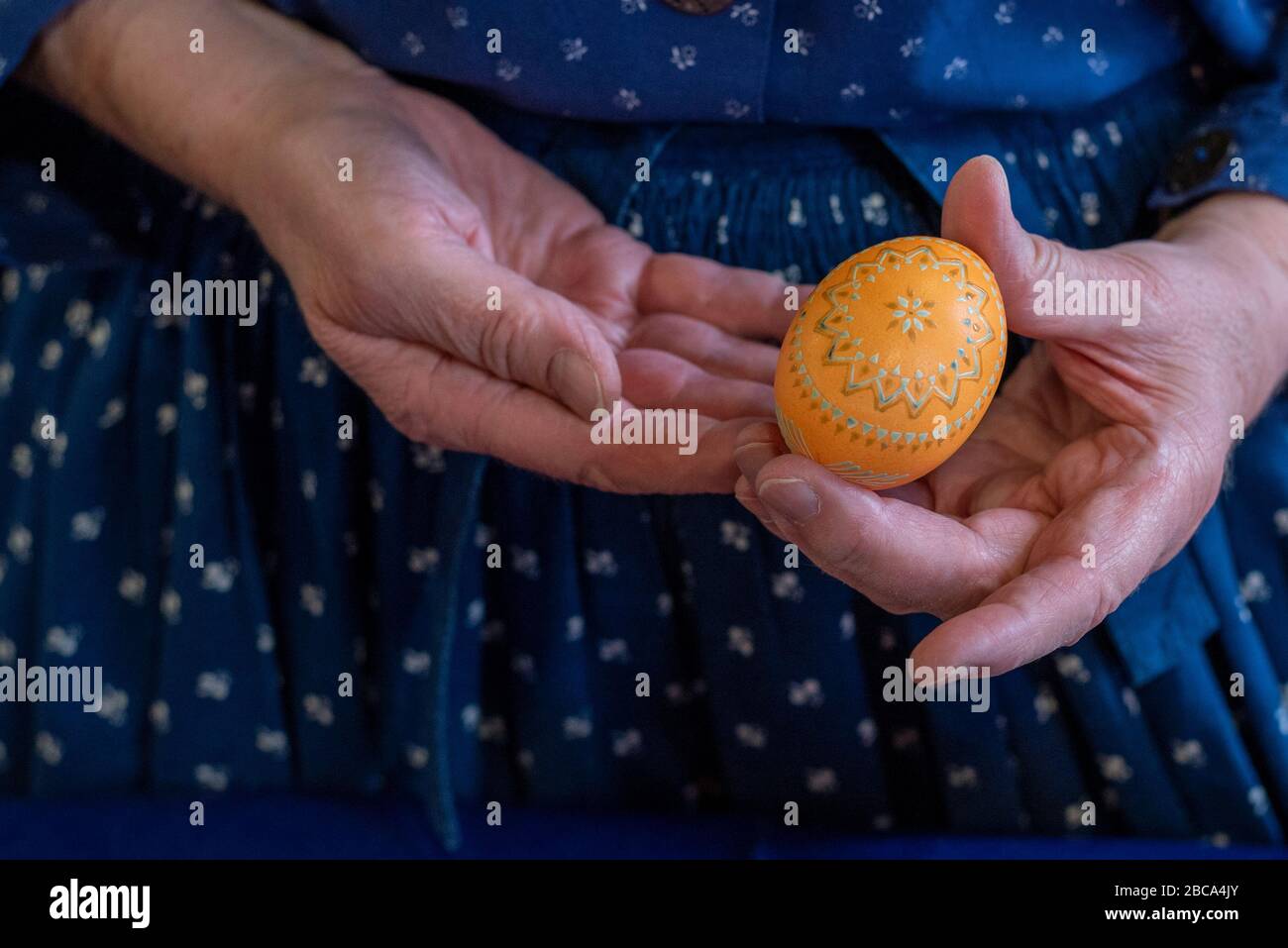 Sorbian Easter eggs, wax batik technique, fifth step: After a first color bath, the first patterns can be seen on the chicken egg. Stock Photo
