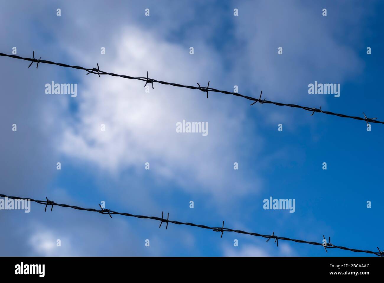 Barbed wire, blue sky Stock Photo