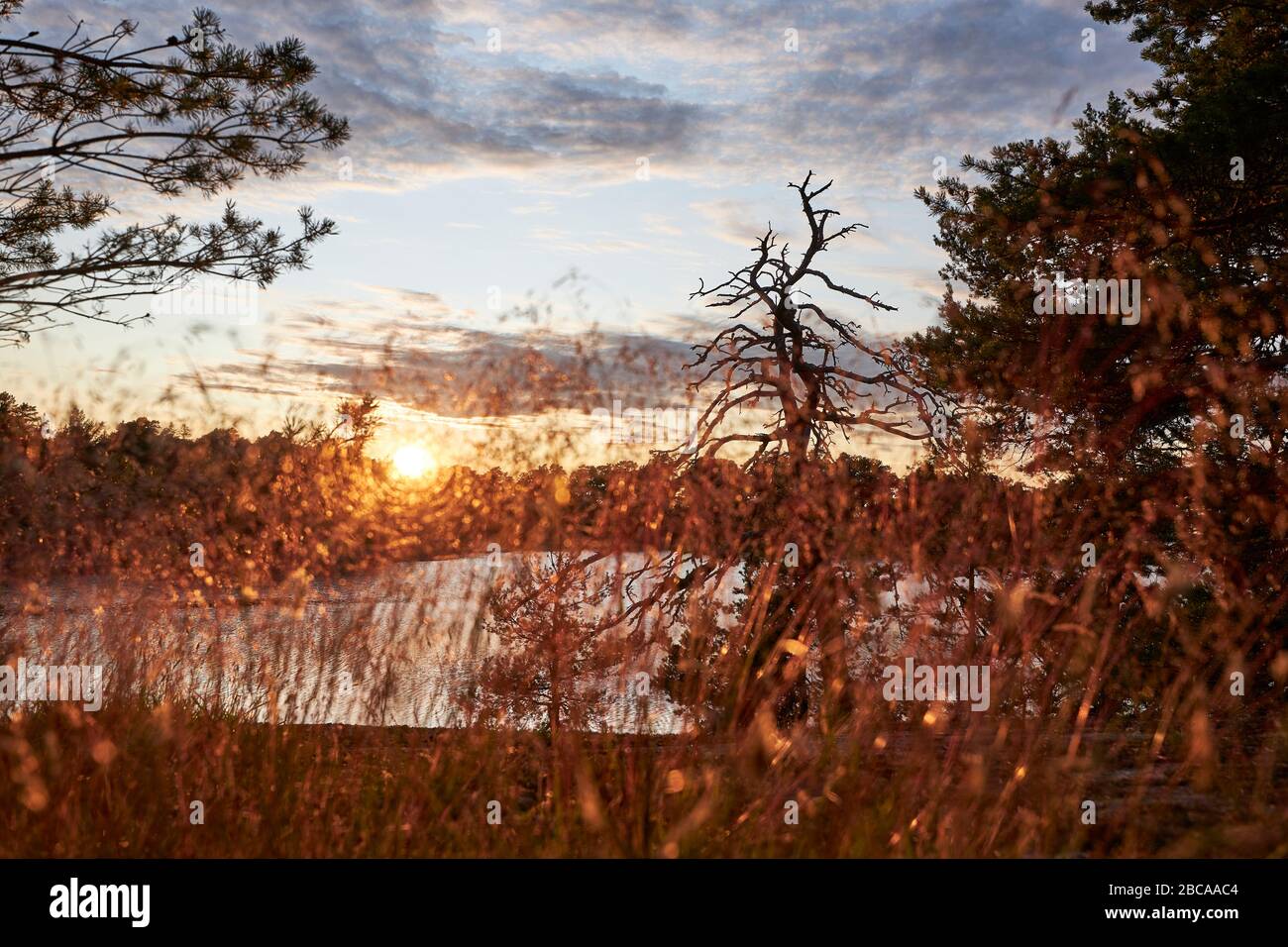 Sweden, Östergötaland, St. Anna, archipelago, Baltic Sea, evening mood Stock Photo