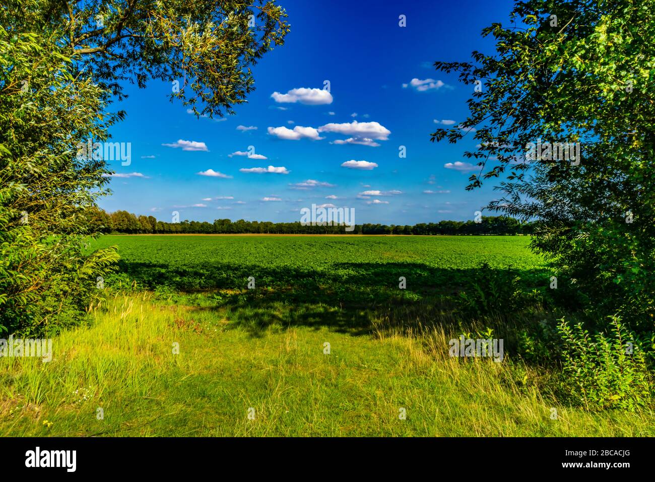 Agricultural area on a sunny day Stock Photo - Alamy