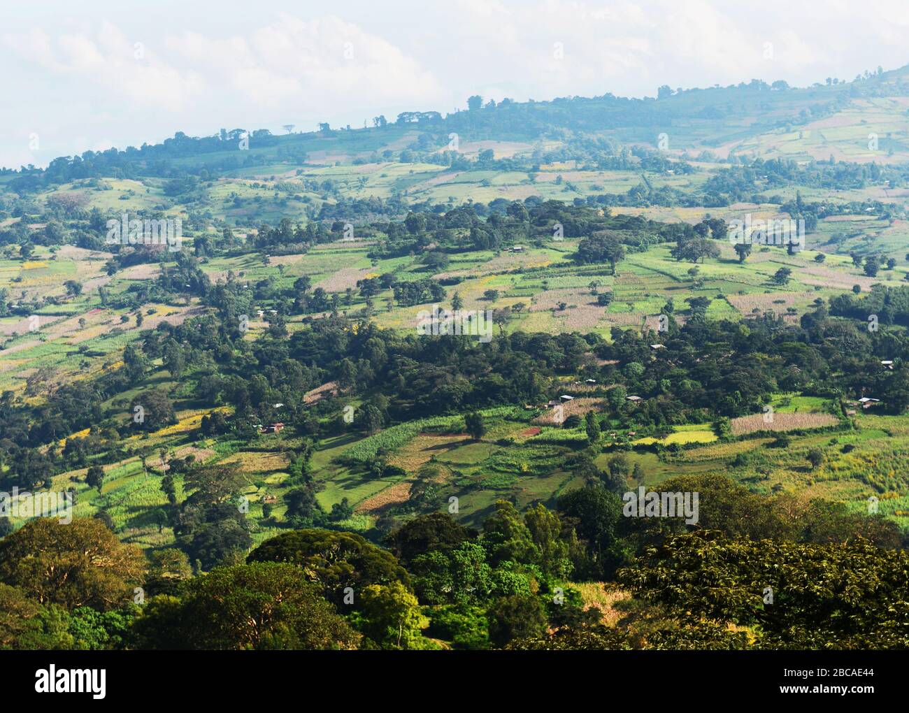 Agricultural landscapes in the Kafa region of Ethiopia. Stock Photo