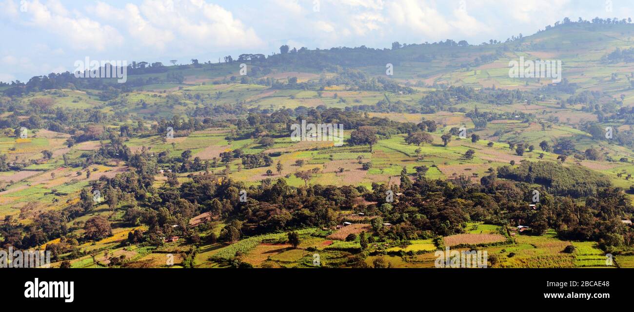 Agricultural landscapes in the Kafa region of Ethiopia. Stock Photo