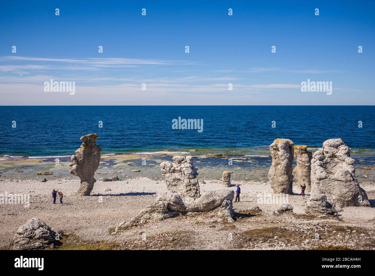 Sweden, Faro Island, Langhammars Area, Langhammar coastal limestone ...