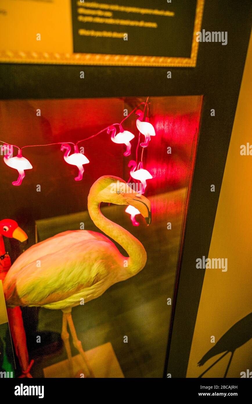 Pink flamingo statue hi-res stock photography and images - Alamy