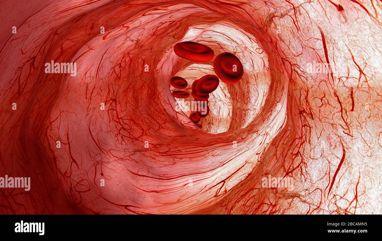 blood vessels  background Stock Photo