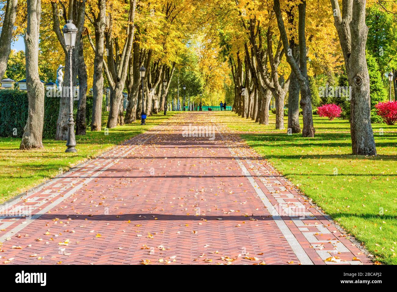 Beautiful romantic alley in a park with colorful trees and sunlight ...
