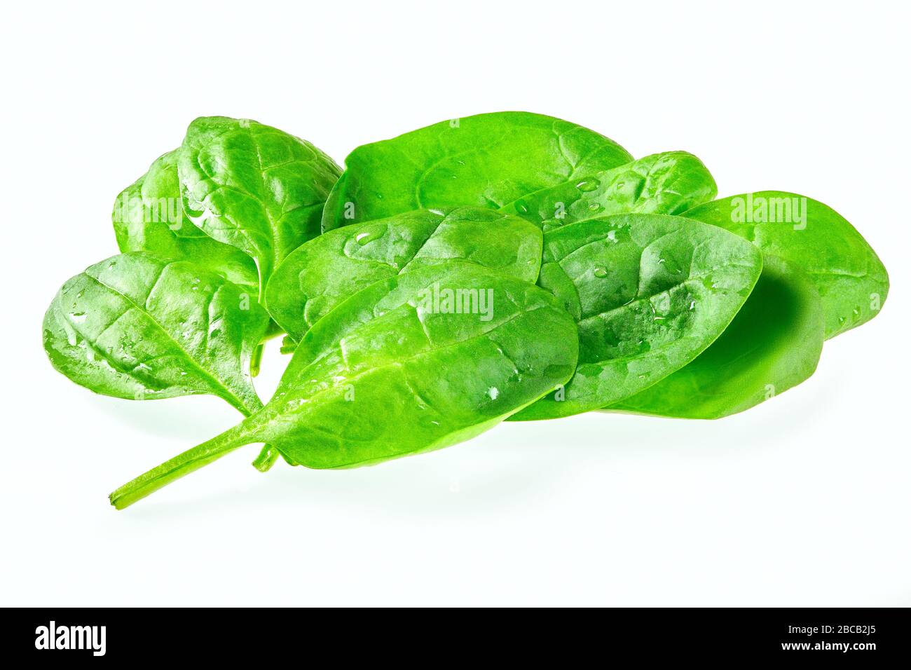 Fresh green baby spinach leaves isolated on white Stock Photo - Alamy