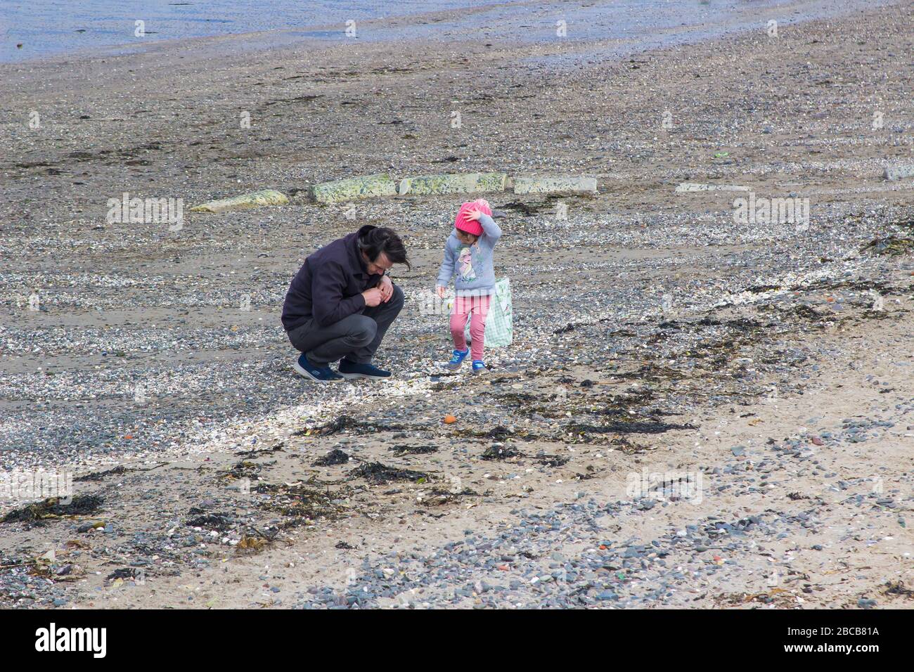 3 April 2020 A father and toddler girl gathering shells together on Ballyholme Beach in Bangor County Down Northern Ireland on a pleasent afternoon in Stock Photo