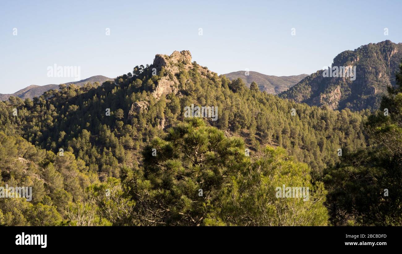 A view of wild green tree-covered hills of Valenciana region of Spain while on a solo hike walk on a sunny cloudless day away from people Stock Photo