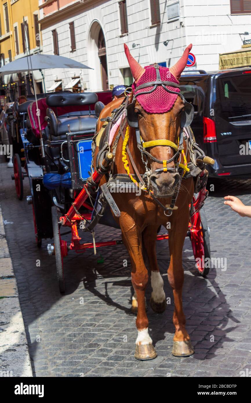 Buggy fashion ride della