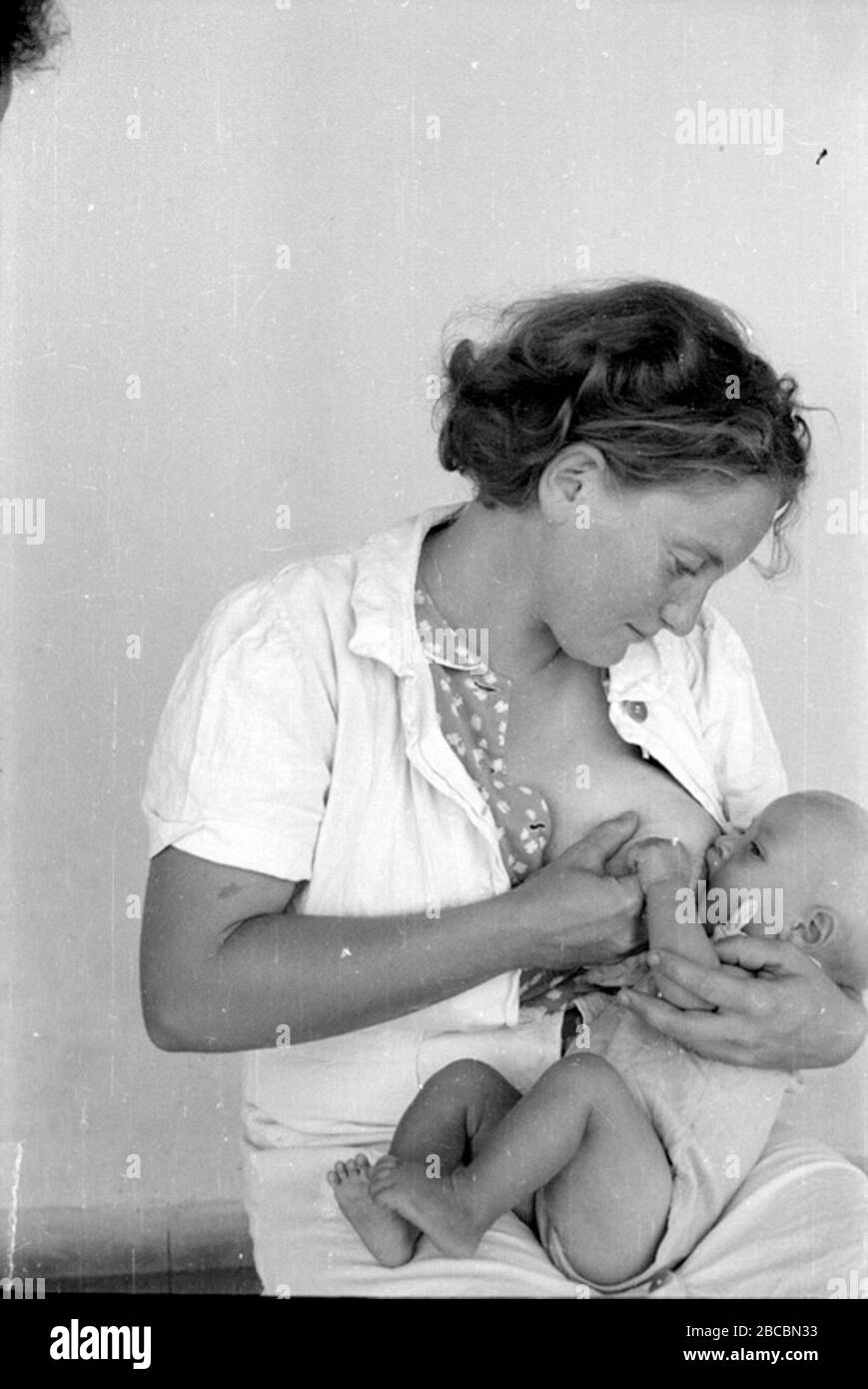 'עברית: אישה מניקה, 1942 English: Breastfeeding, 1942; 1942; עברית: ביתמונה; עברית: ביתמונה; ' Stock Photo
