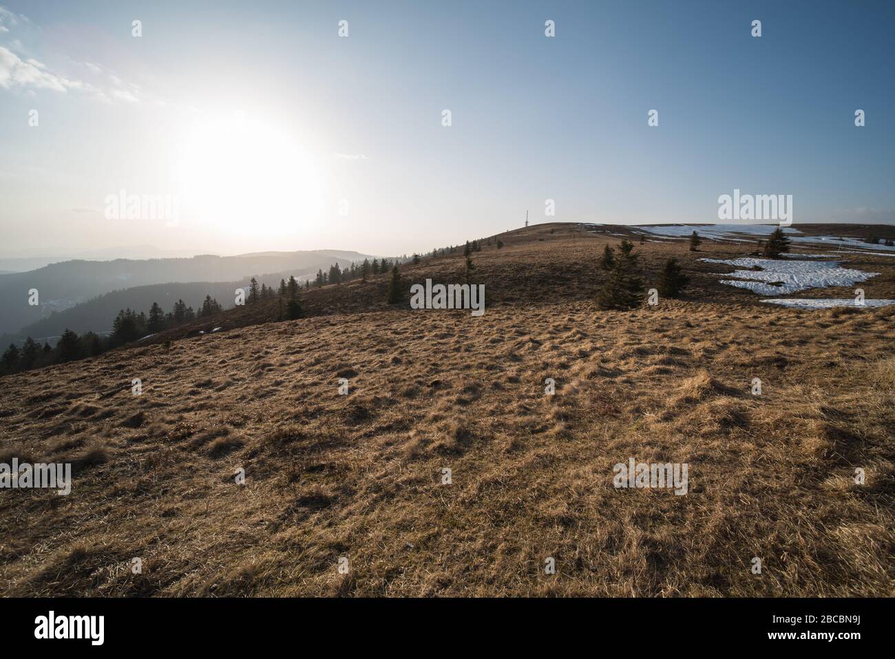 evening landscape in southern Germany on the Feldberg 1493m. the highest mountain in the state of baden-württemberg. Stock Photo