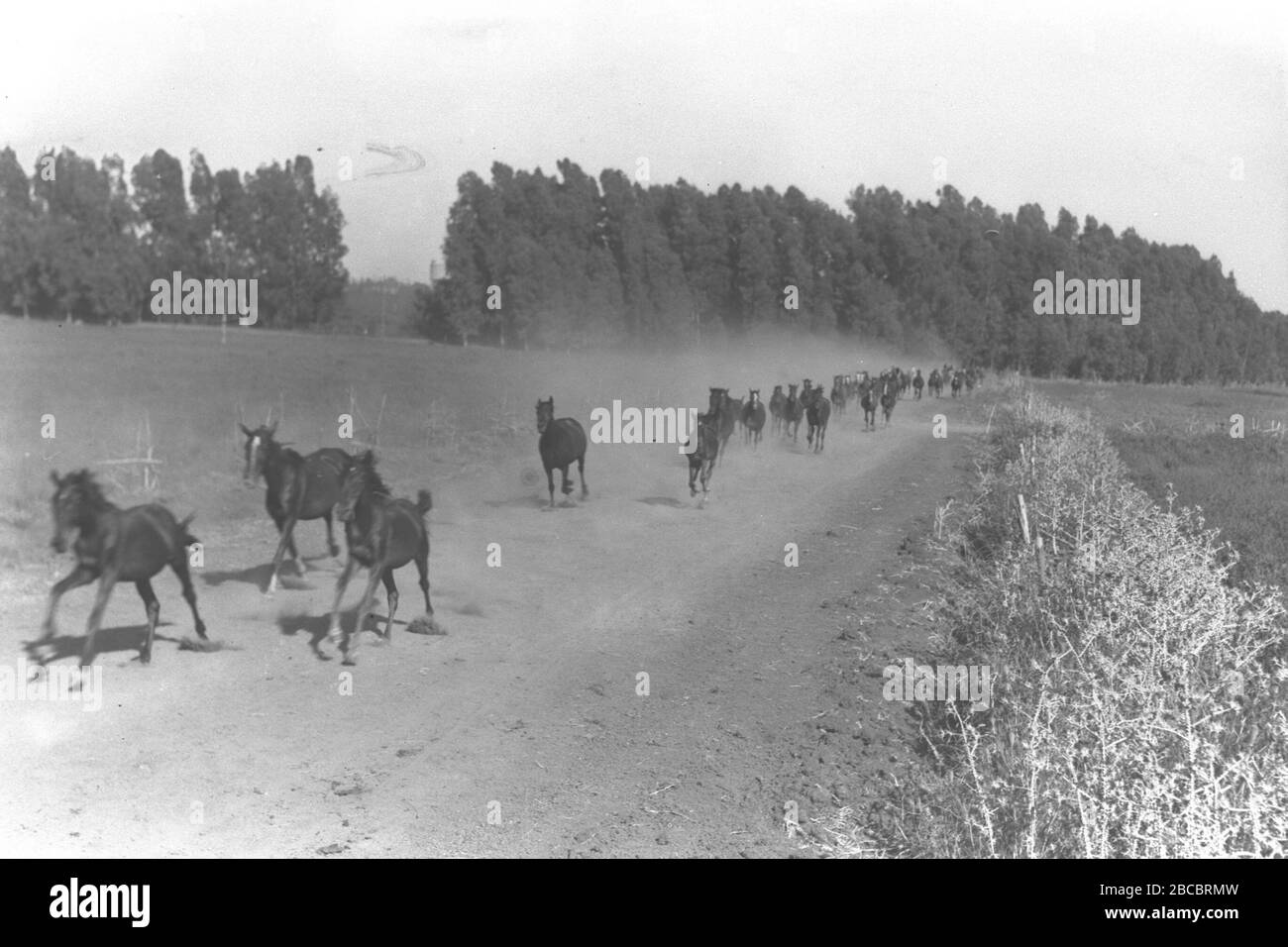 Vo 6 High Resolution Stock Photography And Images Alamy Vo 6 High Resolution Stock Photography And Images Alamy