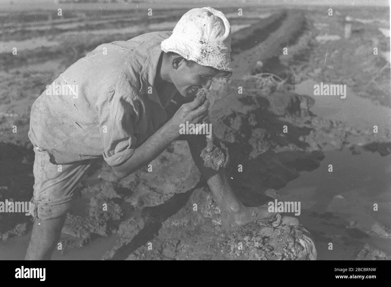 English A Member Of Kibbutz Beit Haarava Tasting The Soil In One Of The Fields Under Reclamation For Agricultural Use O U I O E Ss O E I E O I E I O I U E I E I U I U O I I I E I