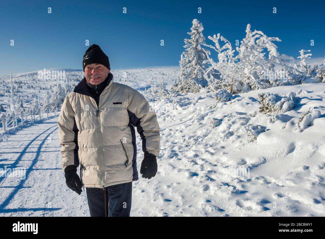Man in his sixties hiking  in winter, at timber line, in Karkonosze mountain range, Karkonosze National Park, Lower Silesia, Poland Stock Photo