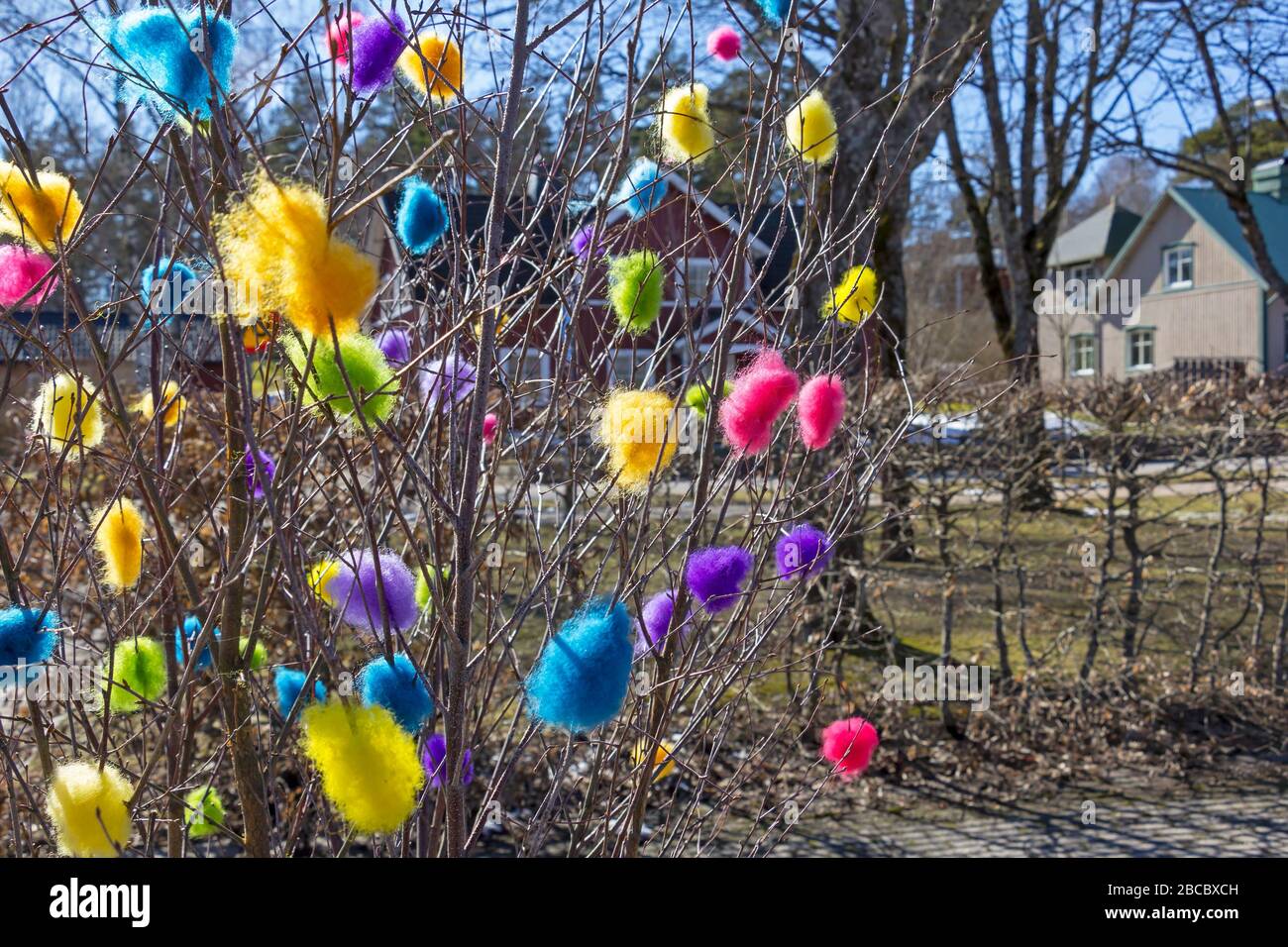 A typical Scandinavian easter custom to decorate branches with colored feathers or cotton wool. Spring landscape in Sweden. Stock Photo
