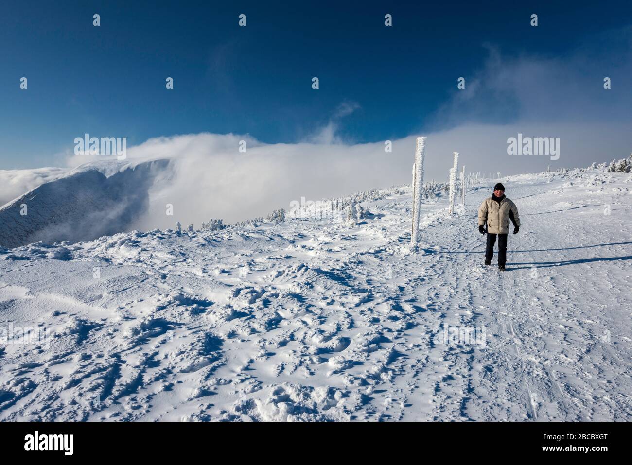 Man in his sixties hiking in Karkonosze (Krkonose) in winter, foehn cloud, Sudetes mountain range, Karkonosze National Park, Lower Silesia, Poland Stock Photo