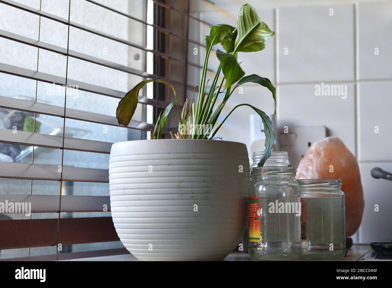 Wilting easter lily amongst assorted kitchen junk next to window blinds Stock Photo