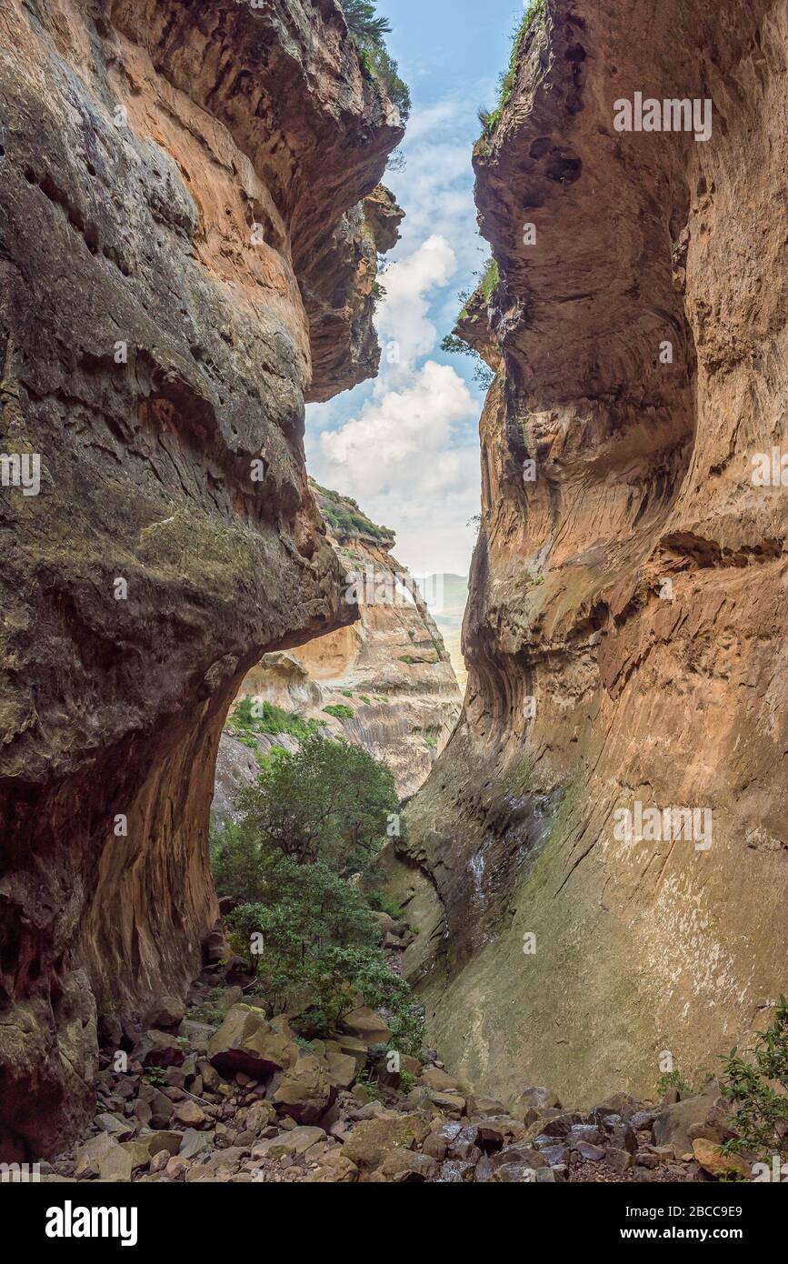 View of Echo Ravine, a sandstone gorge at Golden Gate in the Free State  Province Stock Photo - Alamy