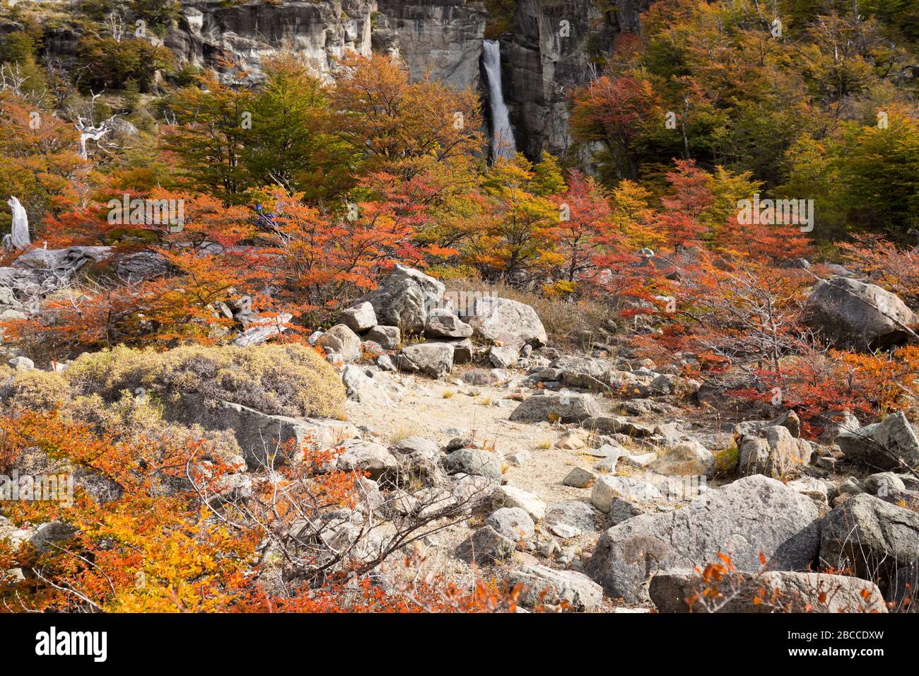 Autumn colors of vegetation around the Chorrillo del Salto waterfall, National Park de los Glaciares, Argentina Stock Photo