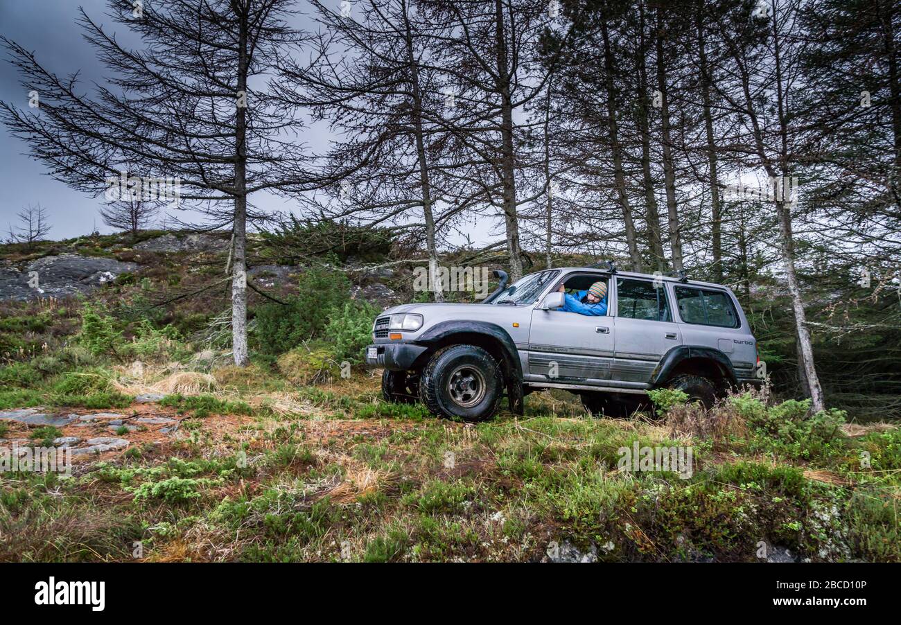 Old Toyota Landcruiser offroad driving in forest Stock Photo - Alamy