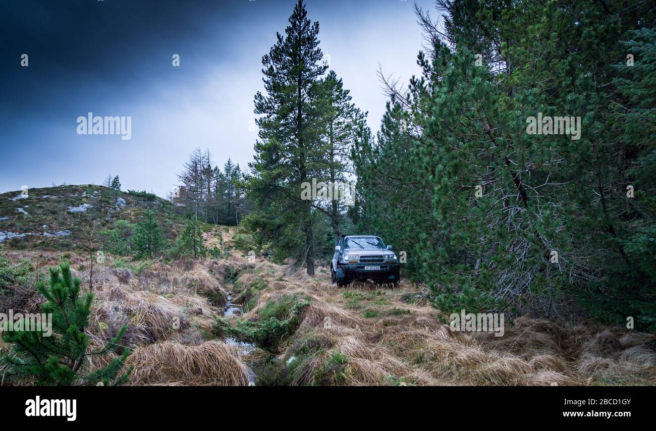 Old Toyota Landcruiser offroad driving through forest, seen from the
