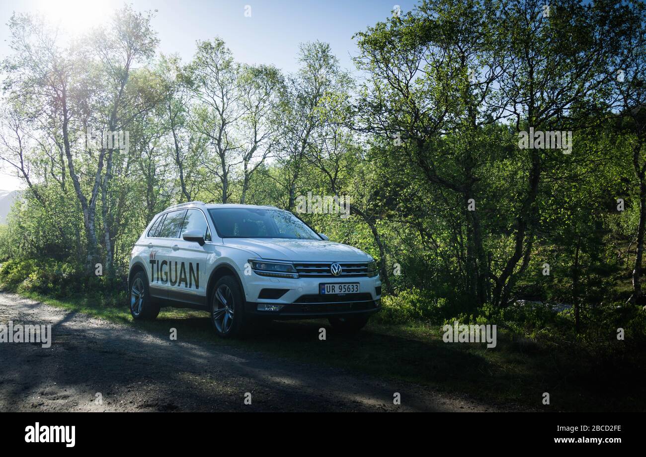 White VW Tiguan at sunset on a forrest road Stock Photo