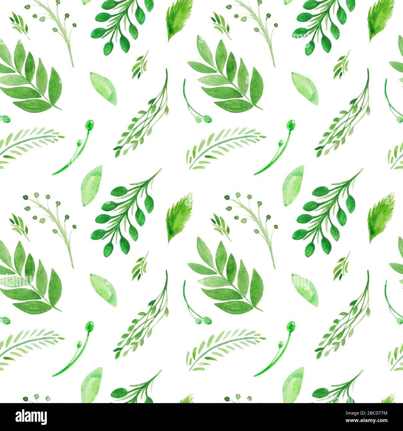 Seamless pattern of branches and leaves on a white background ...