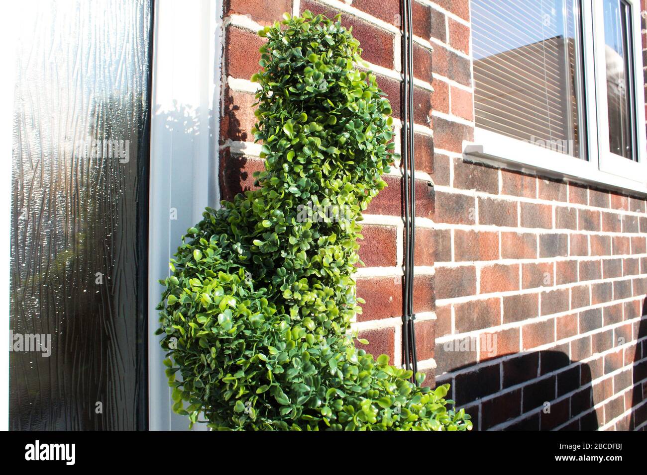 Fake garden plant on a front doorstep Stock Photo Alamy