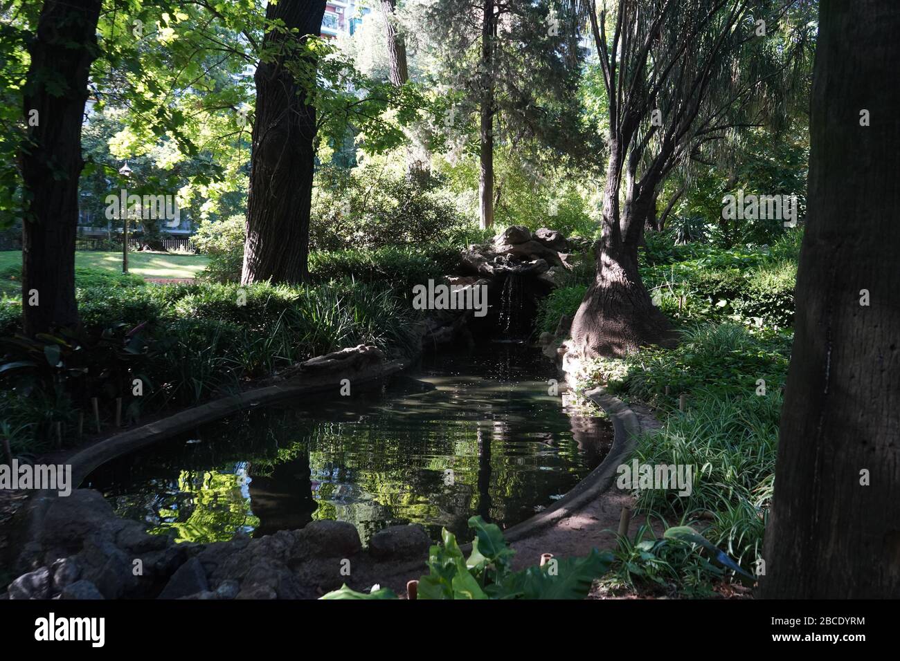 Botanic park in the Palermo neighborhood Stock Photo Alamy