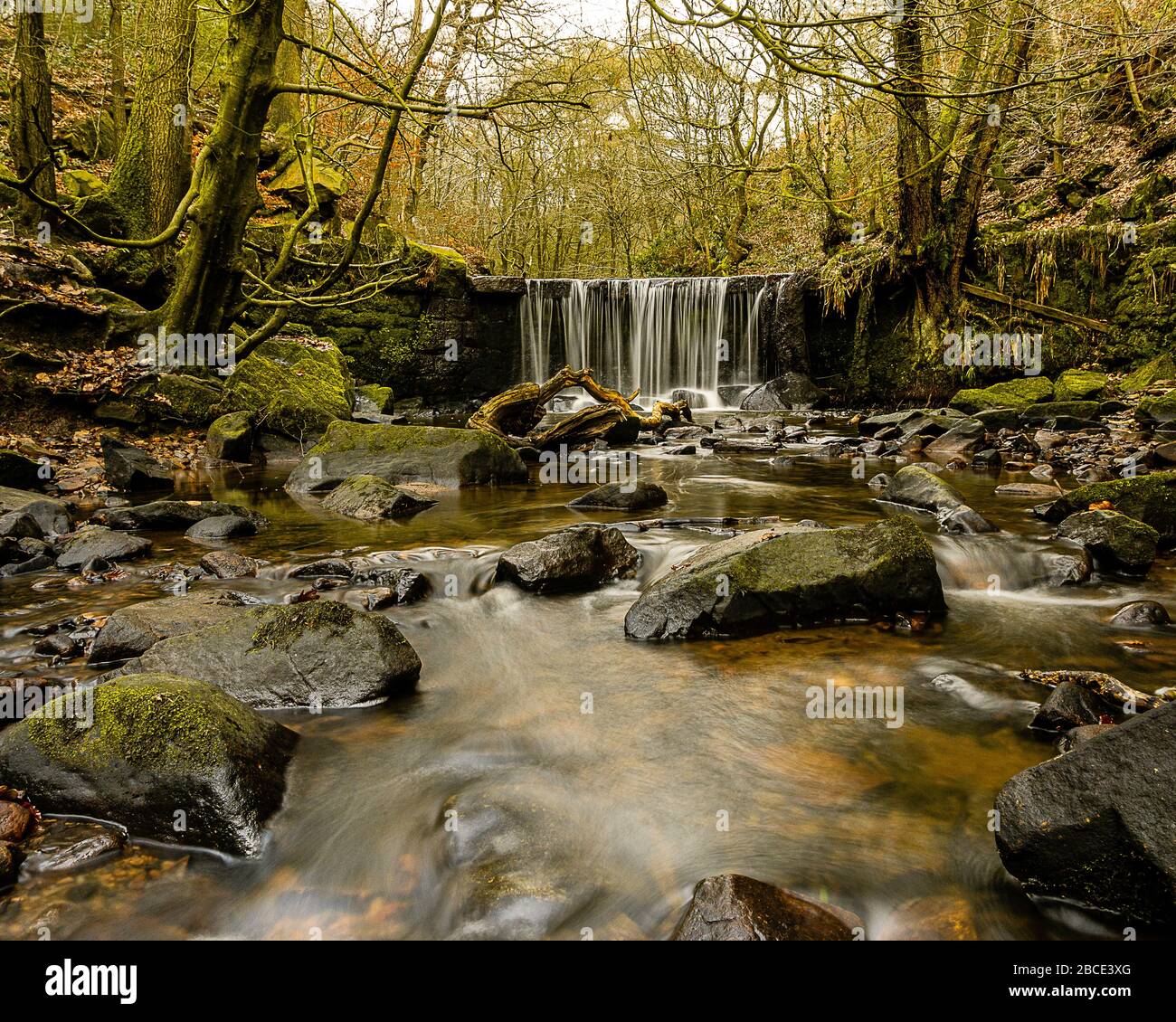 Upstream motion hi-res stock photography and images - Alamy