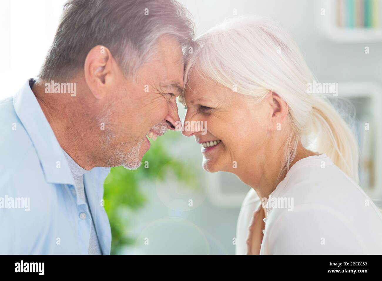 Senior couple at home Stock Photo