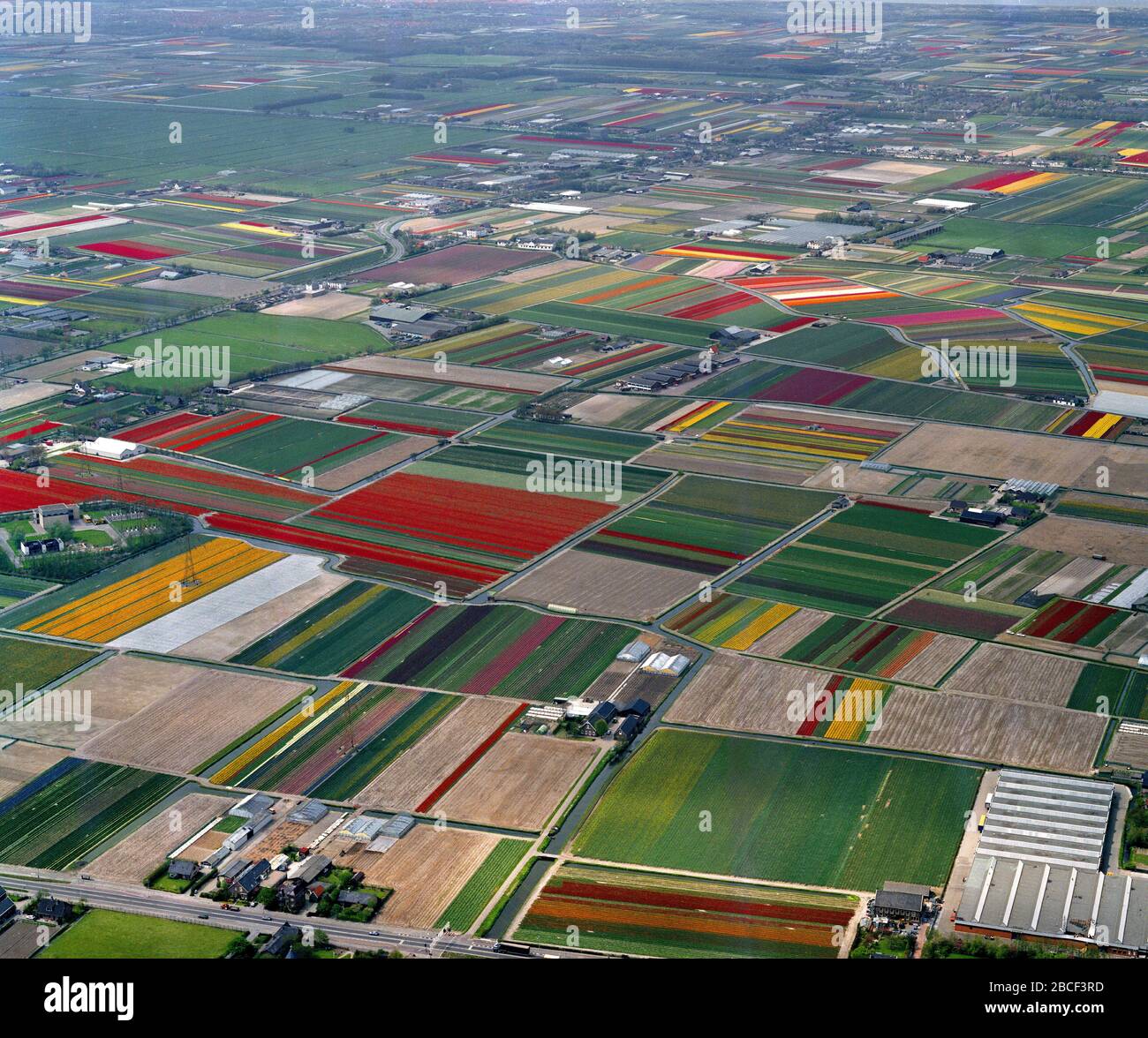 Lisse, Holland, May 12 - 1986: Historical aerial photo of the flower fields near Lisse and Voorhout, the Beekpolder Stock Photo