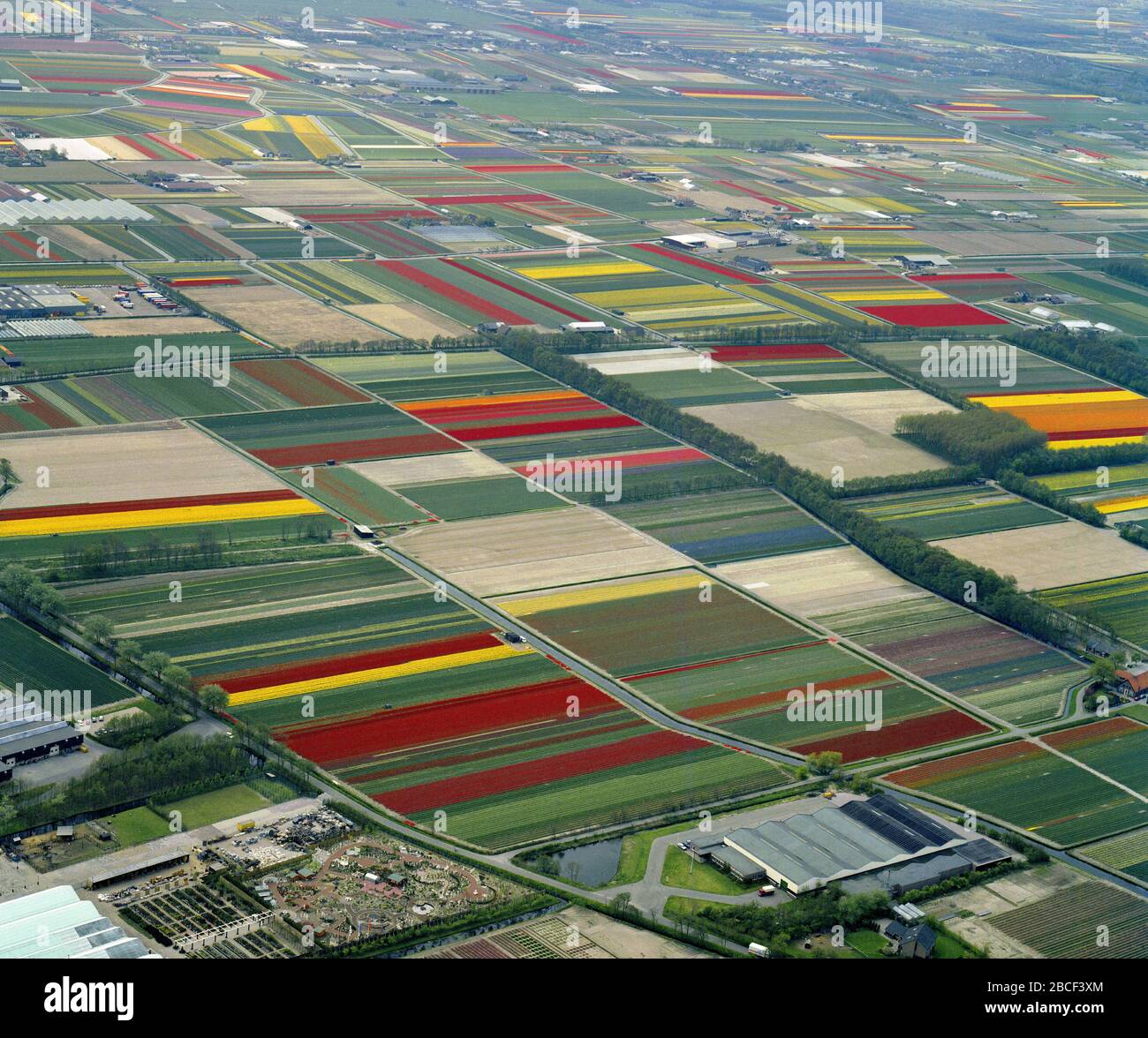 Lisse, Holland, May 12 - 1986: Historical aerial photo of the flower fields near Lisse and Voorhout Stock Photo