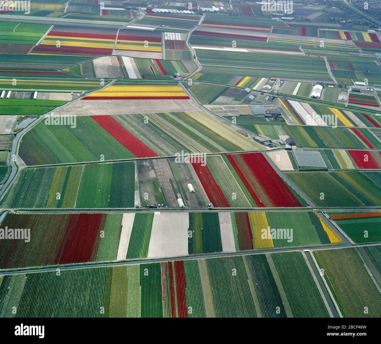 Lisse, Holland, May 12 - 1986: Historical aerial photo of the flower fields near Noordwijkerhout, Hogeveense Polder Stock Photo