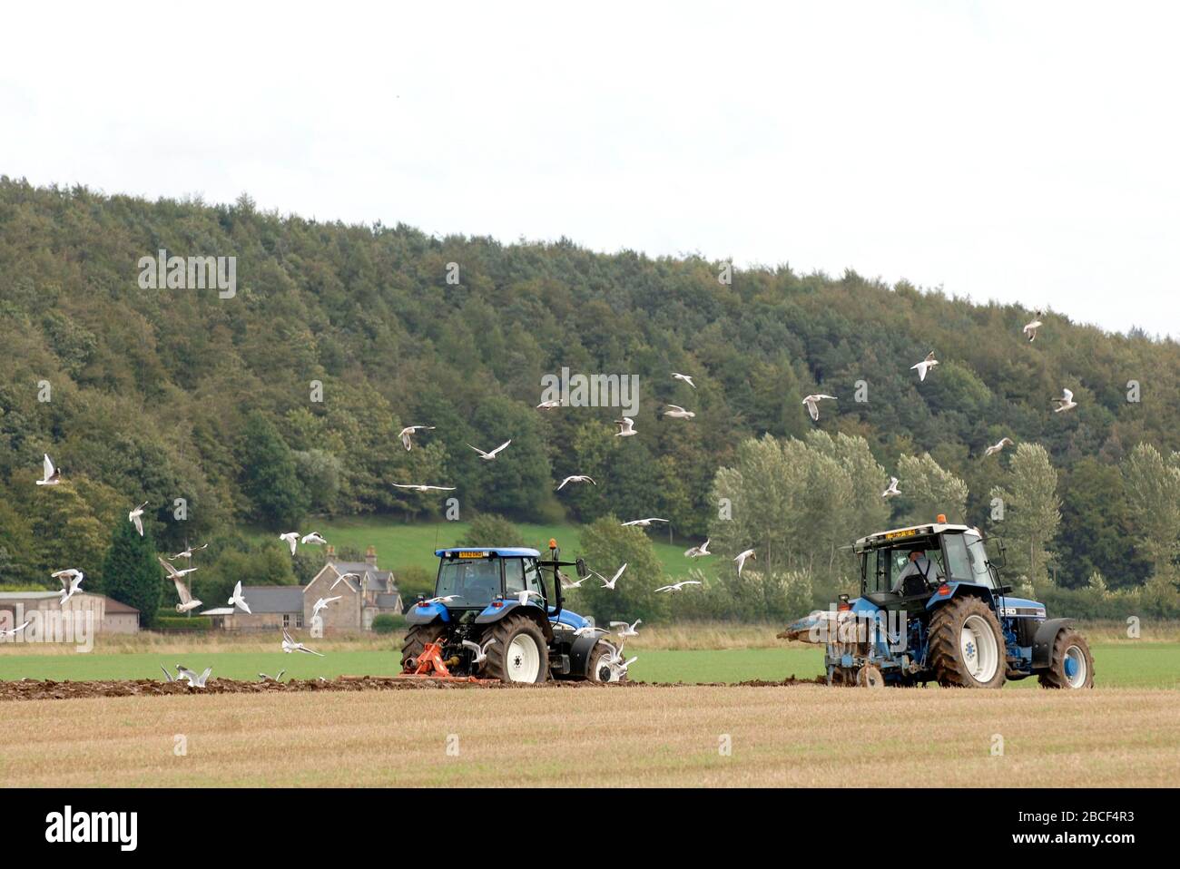 Two tractors ploughing a field near Clackmannan, Scotland. Stock Photo