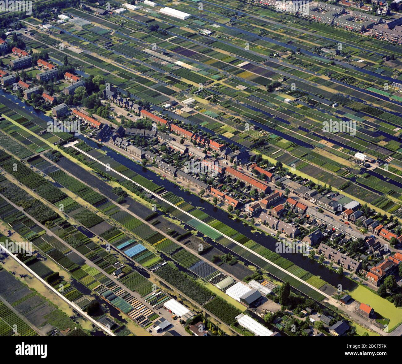 Boskoop, Holland, August 01 - 1986: Historical aerial photo of the tree nurseries, arboriculture and canals of Boskoop Stock Photo