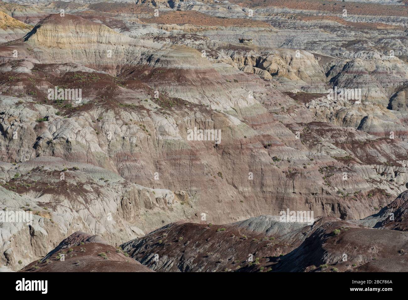 Landscape of barren hills and valleys at Angel Peak Wilderness in New