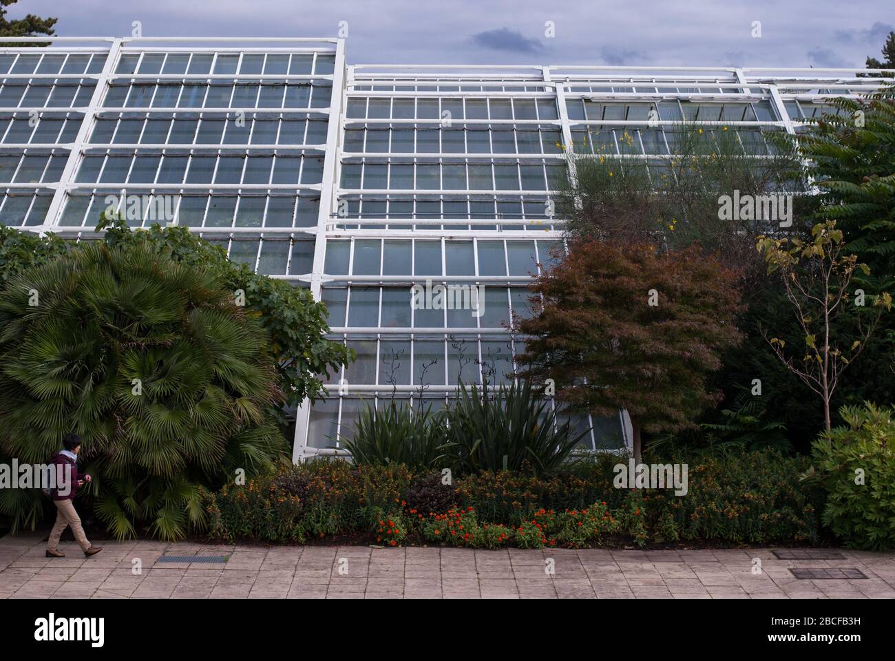 White Steel Glass Glasshouse Landscape Princess of Wales Conservatory ...